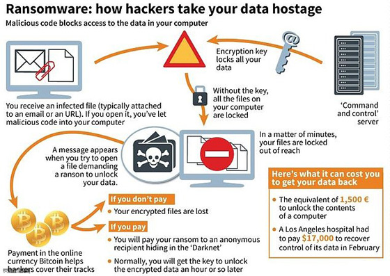 شاب بريطاني يصبح بطلاً عالمياً  بعد إنقاذه ل 99 دولة من كارثة إلكترونية صورة رقم 12