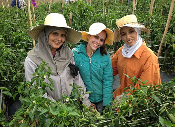 قرية في البرازيل سكانها نساء فقط يناشدن الرجال بالعودة صورة رقم 12