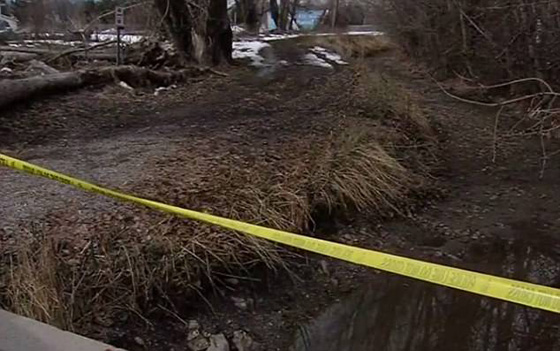 مراهقين أمريكيين أطلقا النار على صديقتهما بسبب صور السيلفي صورة رقم 11