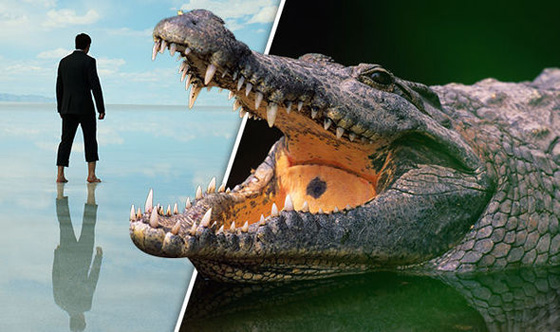  تماسيح تفترس قسيساً وهو يحاول المشي على الماء ليقلد المسيح صورة رقم 3