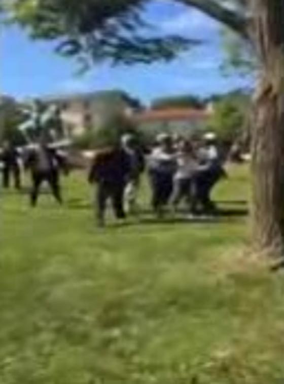 بالفيديو.. شجار عنيف مع حرس أردوغان في واشنطن صورة رقم 1