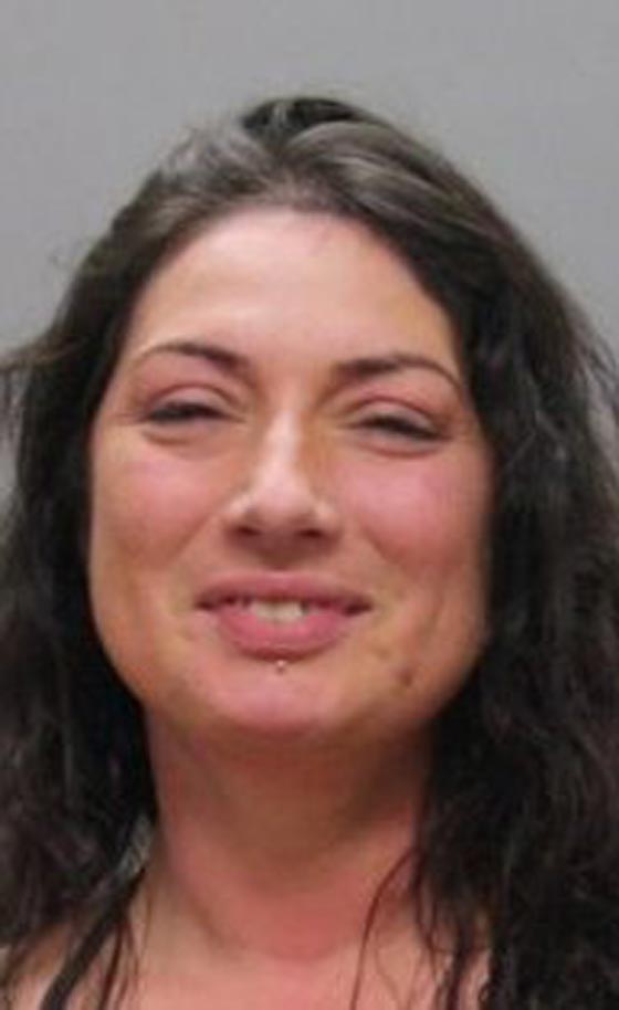 ماذا فعلت السحلية بسائقة مخمورة؟ شاهد الفيديو صورة رقم 1