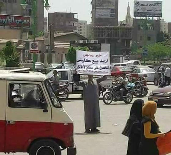 مصريون يعرضون اطفالهم واعضاءهم للبيع لدفع فاتورة الكهرباء والعلاج صورة رقم 9