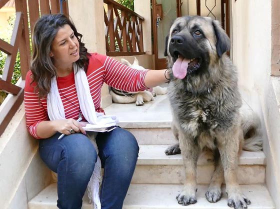 فتاة مصرية تخاطب الحيوانات عن طريق التخاطر وتترجم اقوالها.. صور صورة رقم 1