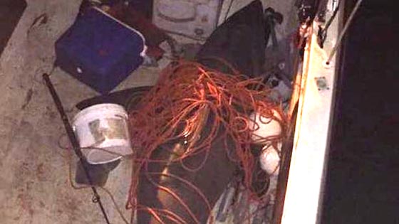  لحظات رعب عاشها صياد حين قفزت سمكة قرش الى قاربه وطرحته ارضا صورة رقم 2