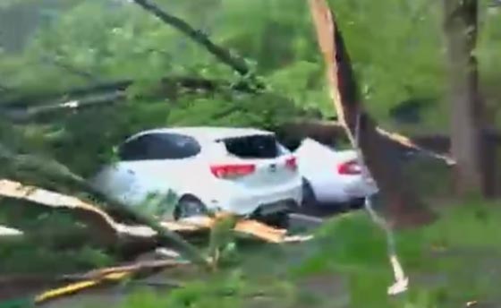 11 قتيلا في اعصار عنيف لم يسبق له مثيل في موسكو صورة رقم 1