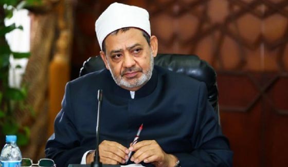 شيخ الازهر ضد دلال عبد العزيز بسبب تلوث المياه في مصر! فيديو صورة رقم 1