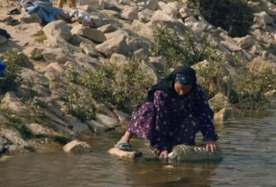 شيخ الازهر ضد دلال عبد العزيز بسبب تلوث المياه في مصر! فيديو صورة رقم 4