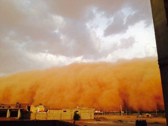  ظاهرة الهبوب تعود وتعصف بالخرطوم وتحولها الى مدينة اشباح.. صور صورة رقم 6