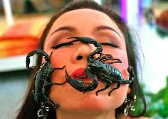  صور وفيديو مذهل! تايلانديه تسمح للعقارب والحشرات السامة بالزحف على وجهها وتضعها في فمها! صورة رقم 8