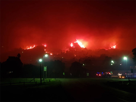 مشاهد مرعبة.. حرائق غابات ضخمة تلتهم قرية بجنوب افريقيا صورة رقم 3