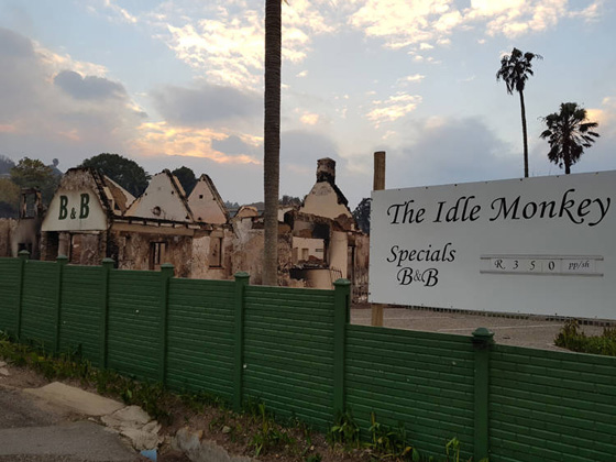 مشاهد مرعبة.. حرائق غابات ضخمة تلتهم قرية بجنوب افريقيا صورة رقم 4