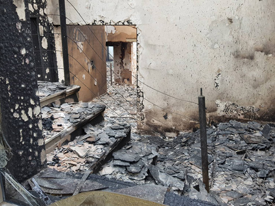 مشاهد مرعبة.. حرائق غابات ضخمة تلتهم قرية بجنوب افريقيا صورة رقم 10