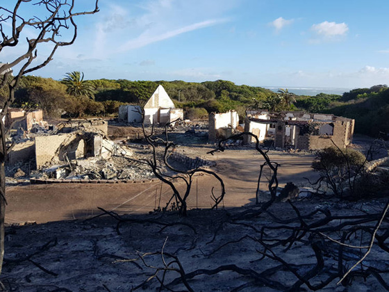 مشاهد مرعبة.. حرائق غابات ضخمة تلتهم قرية بجنوب افريقيا صورة رقم 22