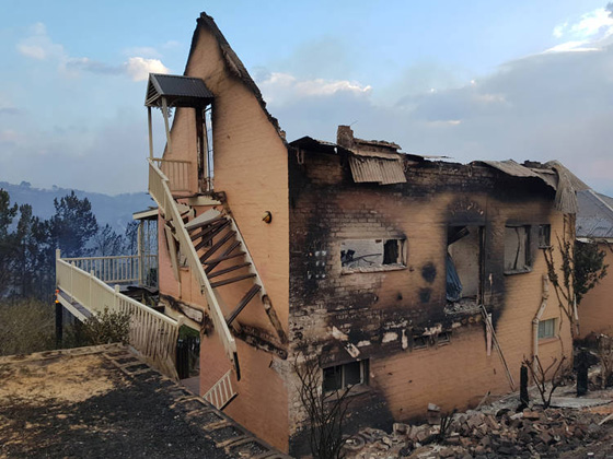 مشاهد مرعبة.. حرائق غابات ضخمة تلتهم قرية بجنوب افريقيا صورة رقم 24