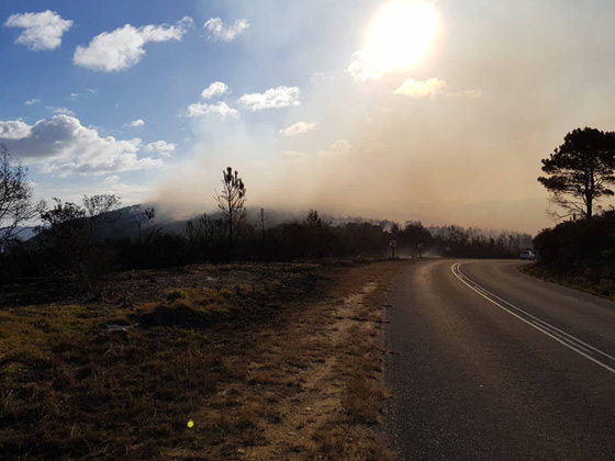 مشاهد مرعبة.. حرائق غابات ضخمة تلتهم قرية بجنوب افريقيا صورة رقم 25