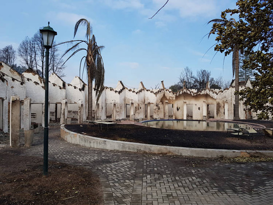 مشاهد مرعبة.. حرائق غابات ضخمة تلتهم قرية بجنوب افريقيا صورة رقم 27