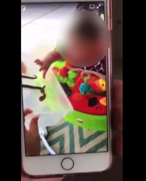 ارادت ان تدرب طفلتها على الحياة البرية فاحضرت له افعى تلدغها! صورة رقم 2