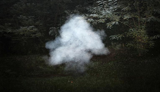 هل يمكن لقنابل الدخان التي يستخدمها هذا الفنان ان تغير رايك في السياسة؟ صورة رقم 6