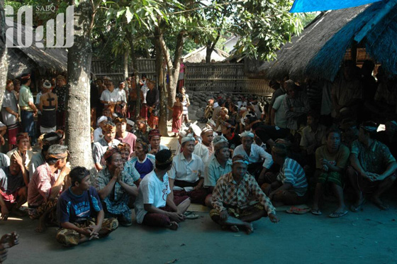 القرية الظالم اهلها.. يتبعون الاسلام ولا يعرفون منه سوى تحريم الخنزير! صورة رقم 17