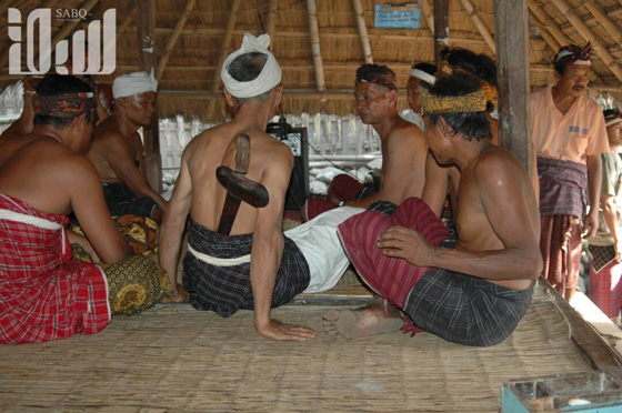 القرية الظالم اهلها.. يتبعون الاسلام ولا يعرفون منه سوى تحريم الخنزير! صورة رقم 20