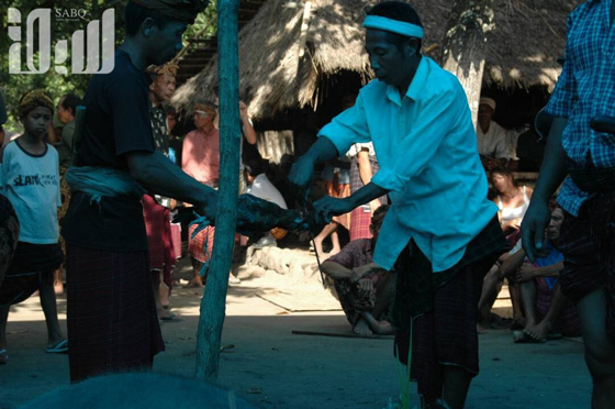 القرية الظالم اهلها.. يتبعون الاسلام ولا يعرفون منه سوى تحريم الخنزير! صورة رقم 21