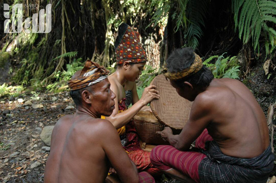 القرية الظالم اهلها.. يتبعون الاسلام ولا يعرفون منه سوى تحريم الخنزير! صورة رقم 24