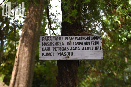 القرية الظالم اهلها.. يتبعون الاسلام ولا يعرفون منه سوى تحريم الخنزير! صورة رقم 7