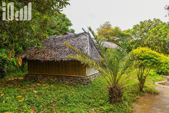 القرية الظالم اهلها.. يتبعون الاسلام ولا يعرفون منه سوى تحريم الخنزير! صورة رقم 8
