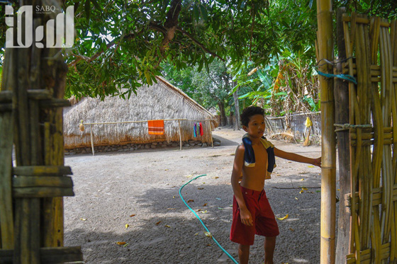 القرية الظالم اهلها.. يتبعون الاسلام ولا يعرفون منه سوى تحريم الخنزير! صورة رقم 10