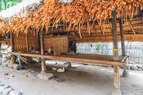 القرية الظالم اهلها.. يتبعون الاسلام ولا يعرفون منه سوى تحريم الخنزير! صورة رقم 25