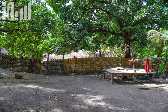 القرية الظالم اهلها.. يتبعون الاسلام ولا يعرفون منه سوى تحريم الخنزير! صورة رقم 27