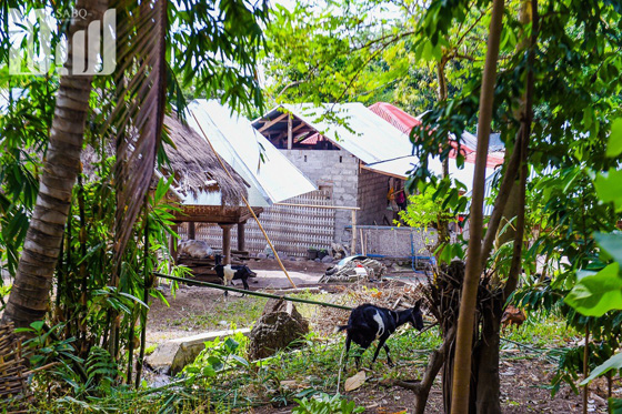 القرية الظالم اهلها.. يتبعون الاسلام ولا يعرفون منه سوى تحريم الخنزير! صورة رقم 28