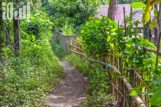 القرية الظالم اهلها.. يتبعون الاسلام ولا يعرفون منه سوى تحريم الخنزير! صورة رقم 29