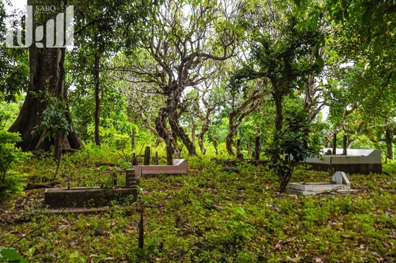 القرية الظالم اهلها.. يتبعون الاسلام ولا يعرفون منه سوى تحريم الخنزير! صورة رقم 30