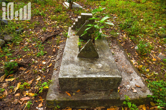 القرية الظالم اهلها.. يتبعون الاسلام ولا يعرفون منه سوى تحريم الخنزير! صورة رقم 31