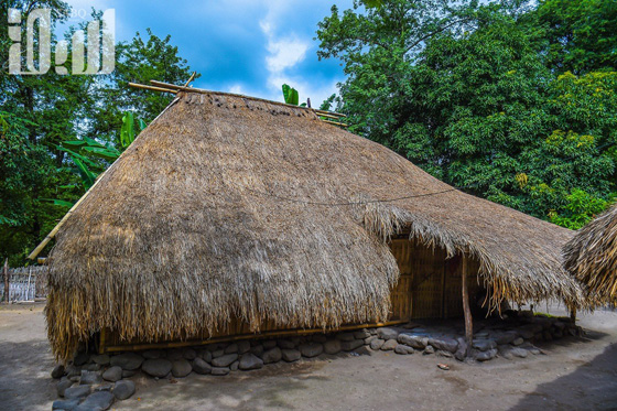 القرية الظالم اهلها.. يتبعون الاسلام ولا يعرفون منه سوى تحريم الخنزير! صورة رقم 12