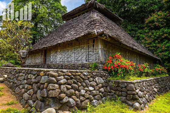 القرية الظالم اهلها.. يتبعون الاسلام ولا يعرفون منه سوى تحريم الخنزير! صورة رقم 1