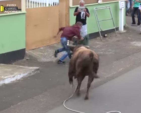 ثور هائج يكره التصوير.. شاهد ماذا فعل بالرجل الذي يحمل آي باد! صورة رقم 6