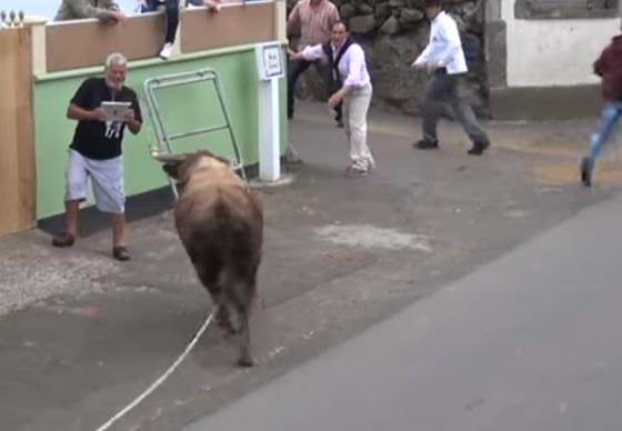 ثور هائج يكره التصوير.. شاهد ماذا فعل بالرجل الذي يحمل آي باد! صورة رقم 1