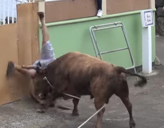 ثور هائج يكره التصوير.. شاهد ماذا فعل بالرجل الذي يحمل آي باد! صورة رقم 3