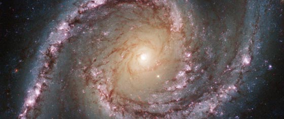 علماء: المخلوقات الفضائية لا تبعد عنّا أكثر من 15 عاماً صورة رقم 4