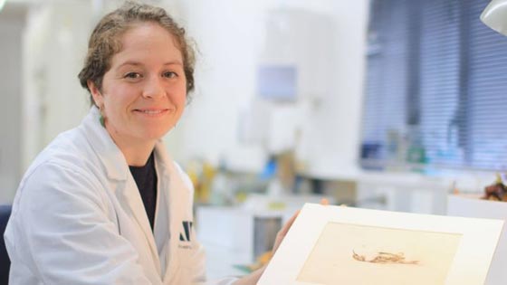 اكتشاف لوحة مائية ثمينة في القارة القطبية الجنوبية صورة رقم 4