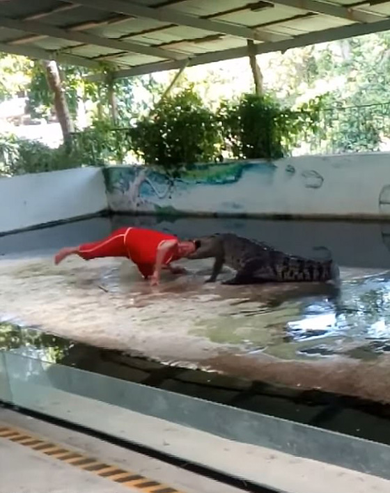 فيديو مروع.. تمساح غادر يعض رأس مدربه اثناء عرض بحديقة تماسيح صورة رقم 4
