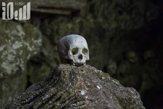فقط في تاتور.. يحتفظون بجماجم الاعداء في بيوتهم لمدة 5 سنوات صورة رقم 1