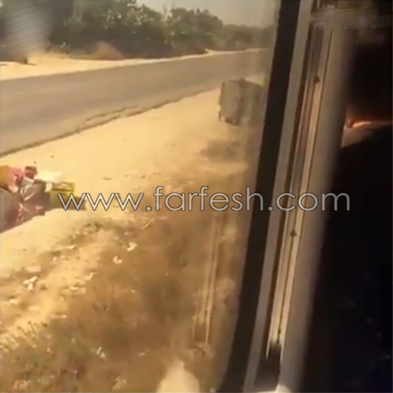 اغرب حادثة في تونس.. اوقف القطار ليشتري الخوخ من بائعة متجولة! صورة رقم 5