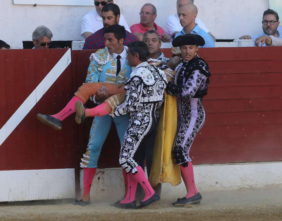 ثور يودي بحياة مصارع ثيران اسباني بطعنة في الصدر صورة رقم 8