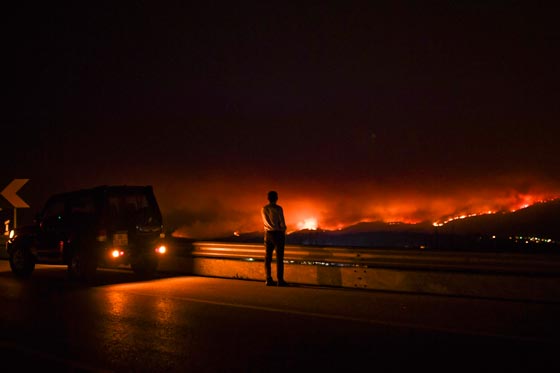 ارتفاع حصيلة ضحايا حرائق الغابات في البرتغال الى 62 قتيلا صورة رقم 2