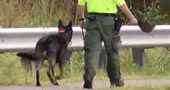 شابة مسلمة ضربت حتى الموت لدى خروجها من مسجد بواشنطن صورة رقم 5