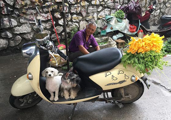 الصين: انطلاق مهرجان أكل لحوم الكلاب رغم شائعات إلغائه.. صور صورة رقم 4